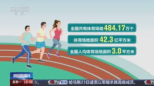 B-sports 室内练腰健身器材